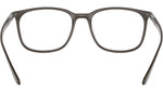 RB7199 Optics 8063