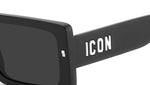 ICON 0029/S 003 IR