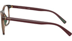 PH2281U 6208 Dark Havana