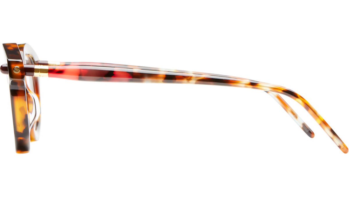 P29 HT Havana