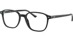 Leonard Optics RB5393 2000