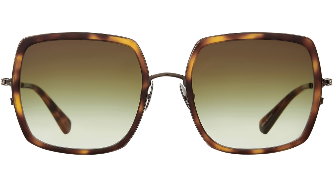 Cora S Yellowjacket Tortoise