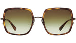 Cora S Yellowjacket Tortoise