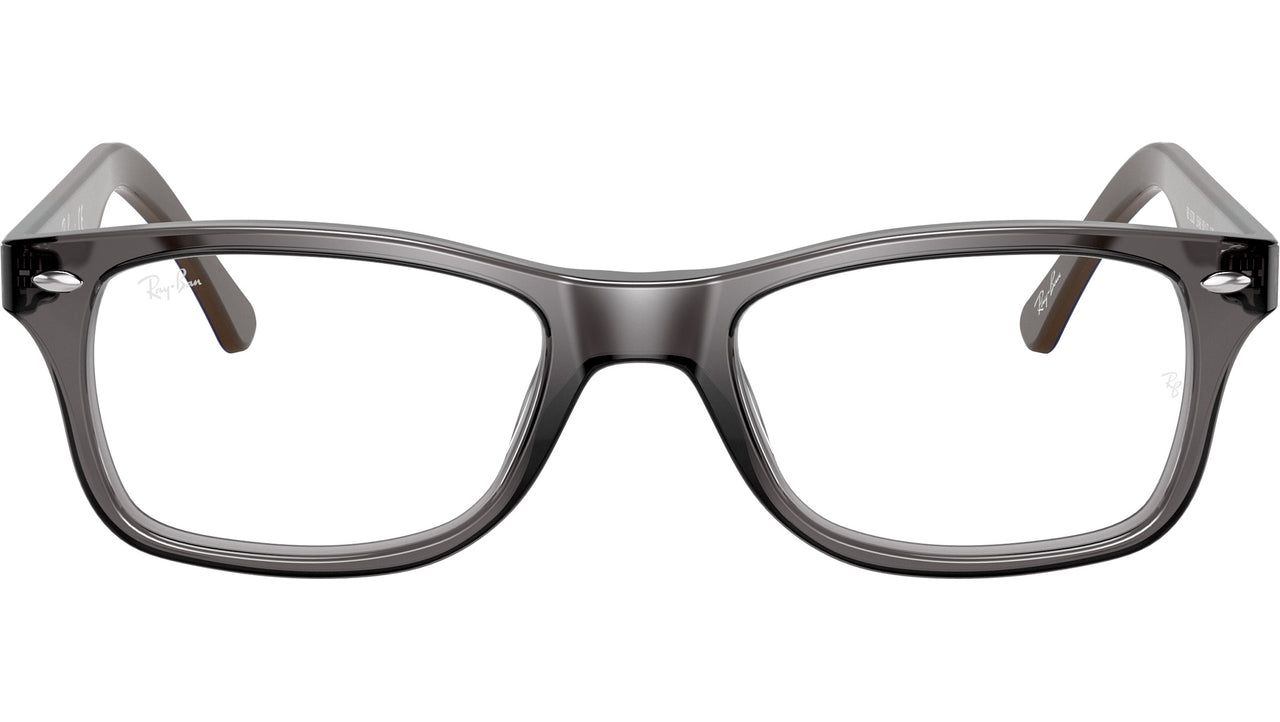 RB5228 Optics 5546