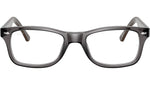 RB5228 Optics 5546
