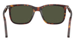 Renzo PO3357S 24/31 Havana