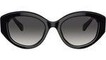 SK6005 10018G Black
