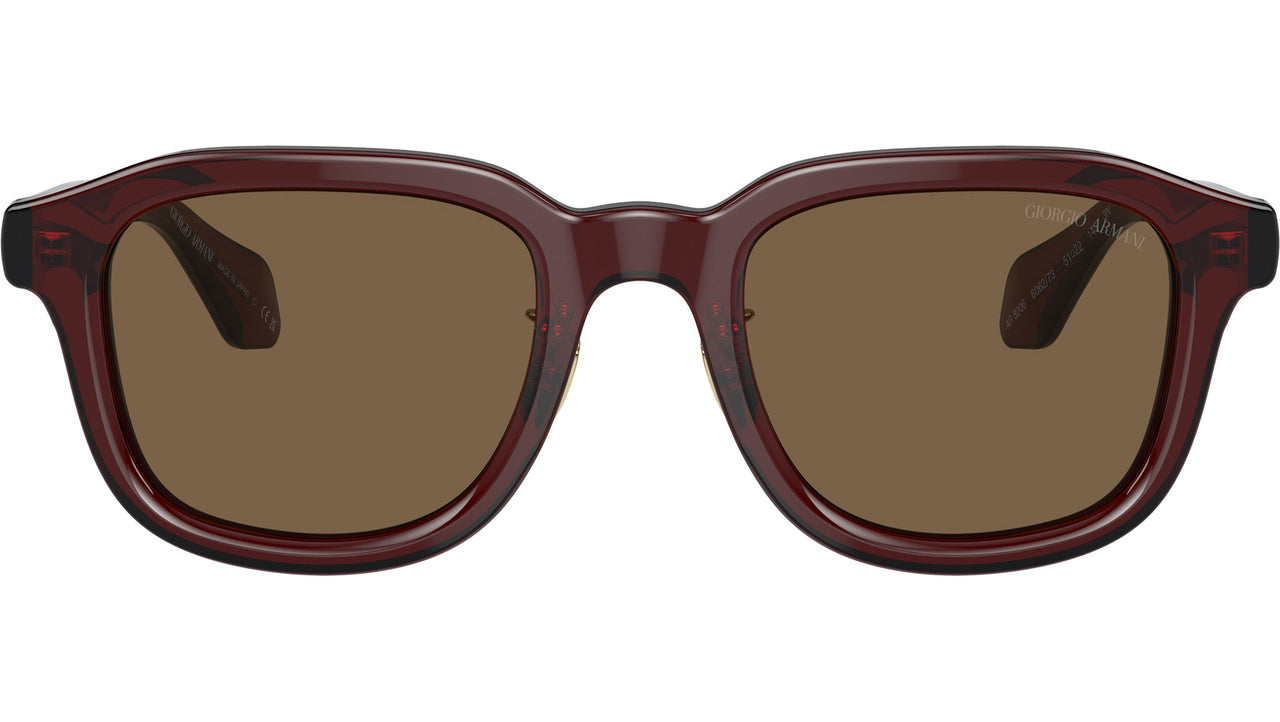 AR 8206 606273 Brown