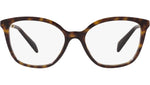 PR 02ZV tortoise