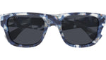 GG2009S 002