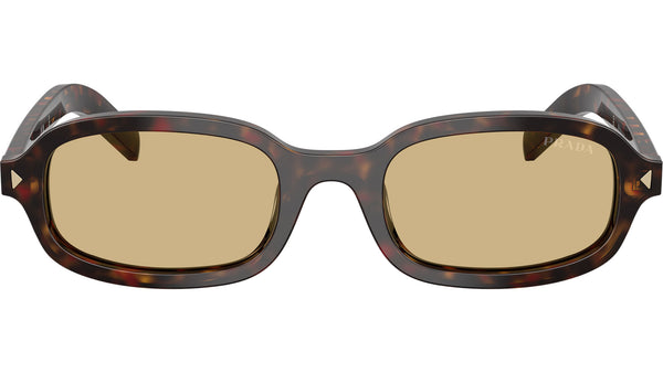 PR D06S Prada Sunglasses 17N70R Root Tortoise - eye-oo.com