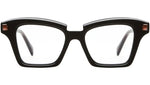 Q1 BST Black Shine Tortoise