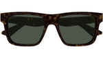 GG1618S 002