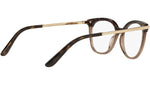 DG 3346 3256 tortoise