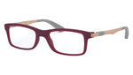 RY1588 3789 Fuxia
