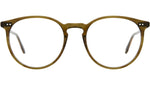 Morningside Olive Tortoise