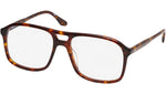 Little Eva Tortoise