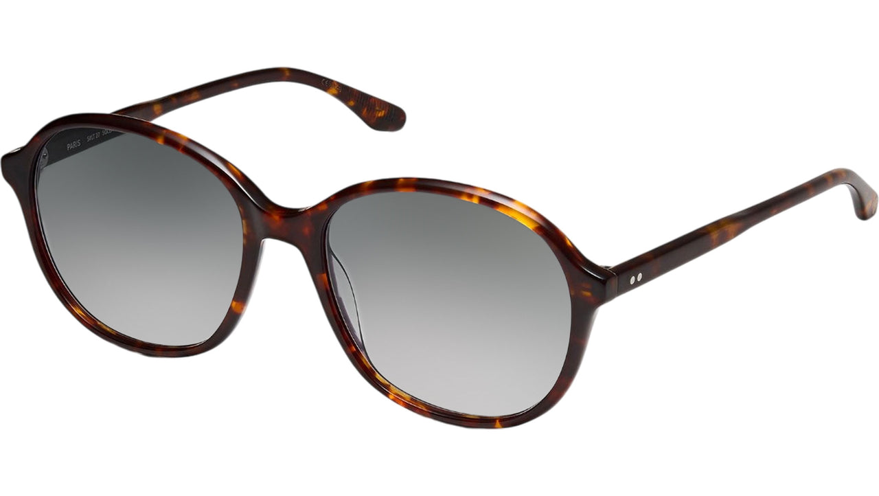 Solenne Sun Tortoise