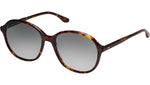 Solenne Sun Tortoise