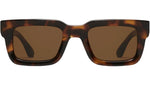 05 M Tortoise
