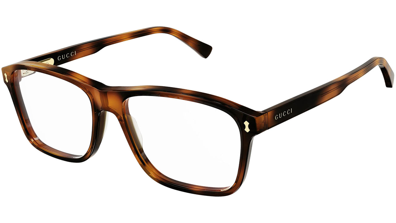 GG1045O 002 dark tortoise