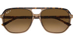 Bill One RB2205 1292M2 Havana Brown
