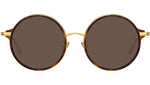 Bara C5 Tortoishell