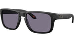 Holbrook S OO9509 02