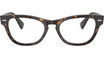 Laramie Optics RB2201V 2012