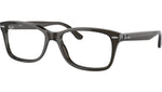 RB5428 Optics 8299