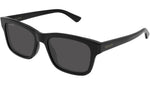 GG2243S 001