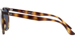 RB4378 710/80 tortoise