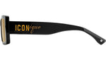 ICON 0029/S 71C 70