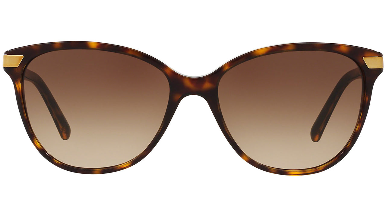 BE4216 300213 Brown