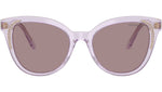 SK6031 1079LA