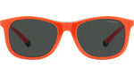PLD 8054/CS LGP M9 Clip