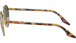 RB3691 001/31 arista