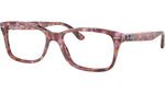 RB5428 Optics 8175