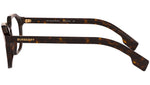 BE2294 3002 Tortoise
