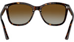 EA4060 5026T5 Tortoise