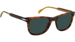 DB 1113/S EX4 KU Brown Horn