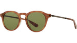 Dorian S Amber Tortoise