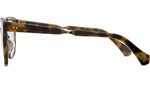 Mana C Tortoise