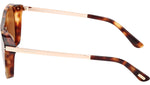 Lionel-02 FT1105 55E Spotted Havana Brown