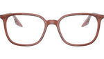 RB5406 Optics 8171