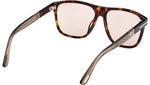 Frances FT1081 52E Havana Beige Brown