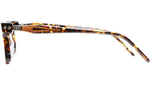 D74 TOR Tortoise