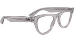 RB5510 Optics 2102