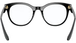 DG 3334 501 black