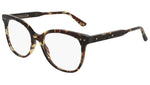 BV0121O shiny spotted tortoise